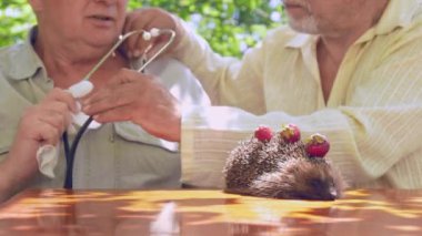 yaşlı vatandaş stetoskop alır ve kirpi inceler