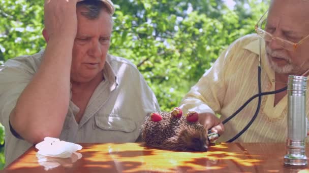 Літні люди оглядають їжака, який сидить за дерев'яним столом — стокове відео