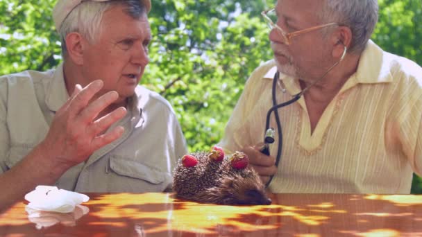 Пожилые люди рассматривают здоровье ежа в зеленом саду — стоковое видео