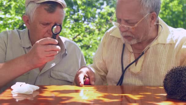 Aged people look at table through magnifying glass — Stock Video