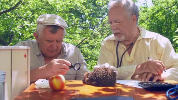 Ouderen onderzoeken Egel en schrijven resultaten op blad — Stockvideo