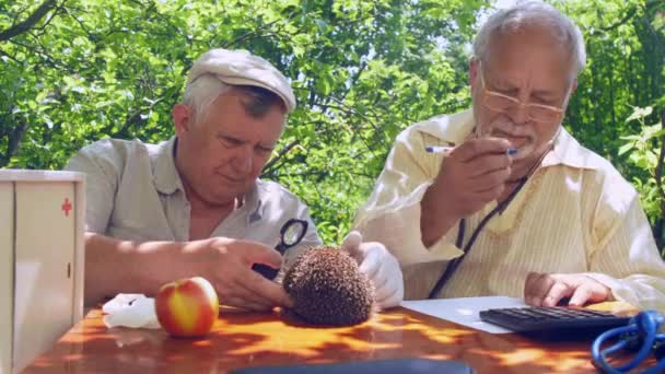 Wieku człowiek patrzy na Jeż i dyktuje wyniki do przyjaciela — Wideo stockowe