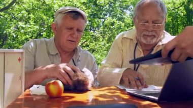 kişi hesap makinesi alır ve masaya modern dizüstü koyar