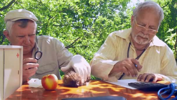 Personas mayores examinan contar y escribir sobre la salud de erizo — Vídeos de Stock