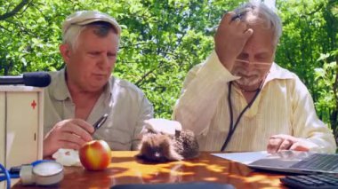 yaşlılar kirpi yakalamak incelemek ve dizüstü yakın yazmak