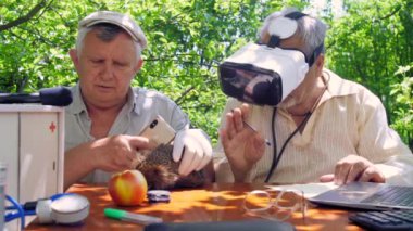 steril eldiven evcil hayvan kirpi akıllı telefon tutan üst düzey