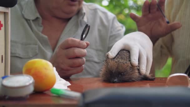 Gepensioneerde arts controleert egel reflexen zittend in de buurt van vriend — Stockvideo