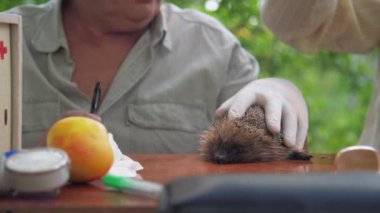yaşlı vatandaş mikrofon alır ve kirpi yakın koyar