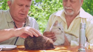emekli insanlar evcil hayvan beyaz kedi ve kirpi bahçede oturan