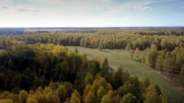 sonbaharda ülke yolu ile huş ağaçları üzerinde hava hareketi