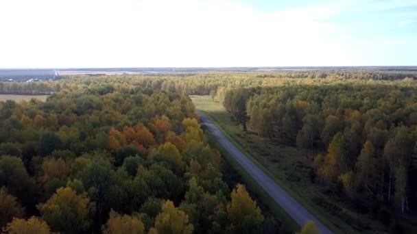 Luchtfoto wolk schaduw covers weg in berken hout in de herfst — Stockvideo