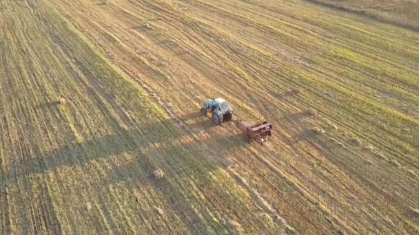 Traktor zieht Ballensammler auf abgeerntetem Feld — Stockvideo