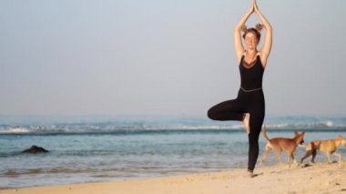 siyah eşofman uzay çörekler ile kadın yoga ağaç poz yok