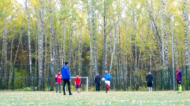快乐的男人在美丽的秋天公园里在球场上踢足球 — 图库视频影像