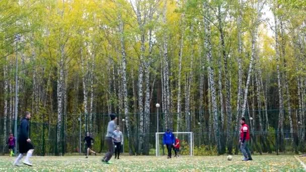 Ребята играют в футбол на спортивной площадке в березовом парке — стоковое видео