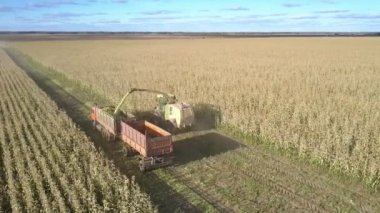 birleştirme kesme cihazı, silaj için mahsul biçme yapar