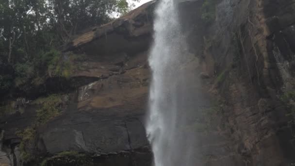 Schäumendes Wasser fällt von brauner Felsklippe auf grünen Baum — Stockvideo