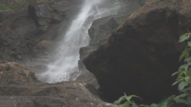 köpüklü su yeşil ağaçta kahverengi kayalık uçurumdan düşüyor