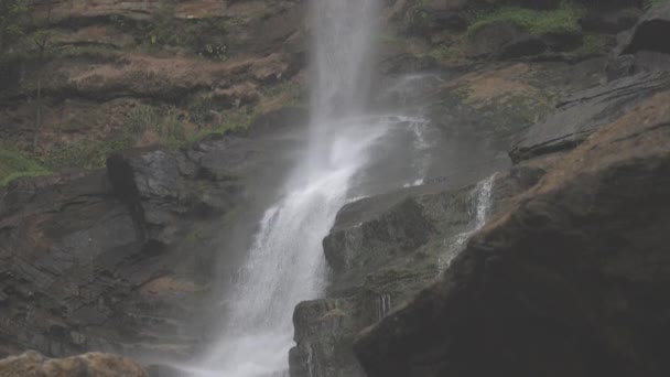 Foaming water falls from brown rocky cliff at green tree — Stock Video