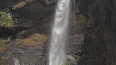 köpüklü su yeşil ağaçta kahverengi kayalık uçurumdan düşüyor