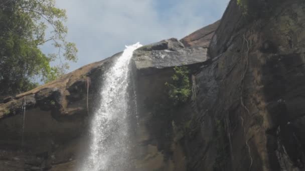 L'eau moussante tombe de la falaise rocheuse brune à l'arbre vert — Video