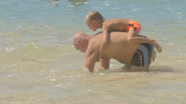 Семья папы и счастливого сына играет в теплой бухте океана — стоковое видео