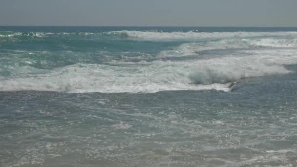 Océan azur avec des vagues ondulantes contre ciel bleu au ralenti — Video