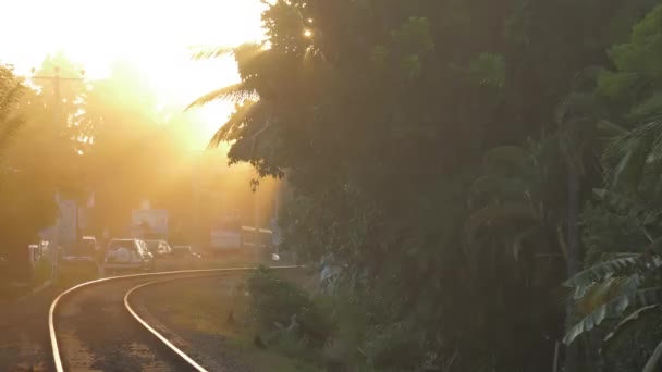 Ferrovia vazia em palmeiras verdes exuberantes ao pôr do sol câmera lenta — Vídeo de Stock