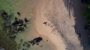 güzel bayan siluet uygulamaları yoga gölge bırakarak