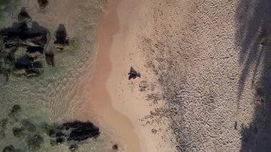 sportif kız silueti ağaçlarda kumlu kıyı şeridi üzerinde meditasyon