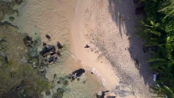 스포티 한 소녀는 투명 한 바다 물에 다리를 뻗어 — 비디오