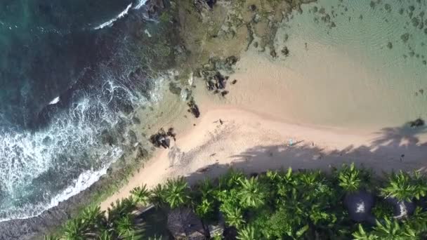 Dama en chándal negro practica yoga en el océano azul — Vídeos de Stock