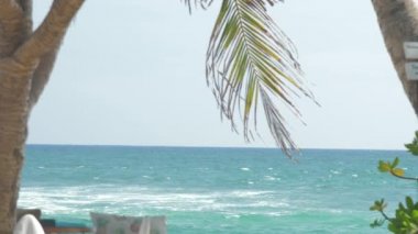 mavi gökyüzü ve palmiye ağaçları yavaş hareket altında inanılmaz okyanus