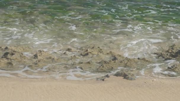 Морские волны катятся по камням на пляже в солнечный день замедленного движения — стоковое видео
