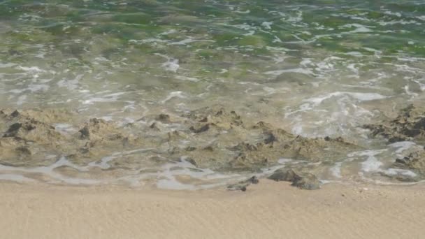 Meereswellen rollen an sonnigen Tagen in Zeitlupe auf Steinen am Strand — Stockvideo