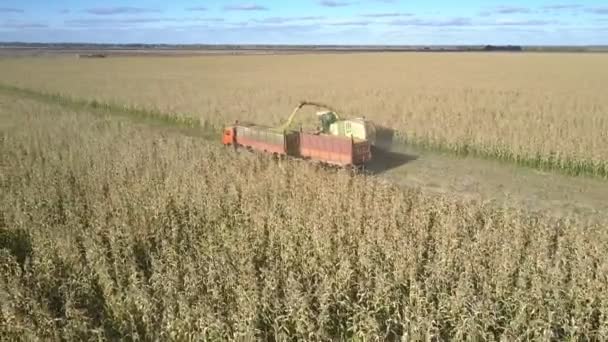 Voedergewassen Combineer aandrijvingen langs het uitladen van voertuigen — Stockvideo