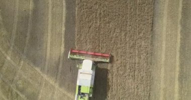 havadan görünüm tahıl platformu bitkileri buğday ile birleştirmek