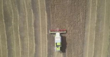 fotoğraf makinesi hasat birleştirir ile buğday tarlası üzerinde yükselir