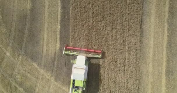 Вид з повітря з зернової платформою зернові пшеничні — стокове відео