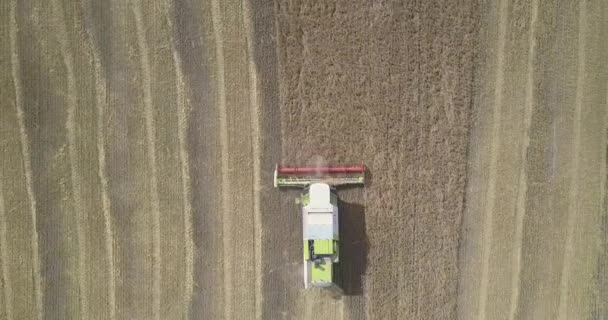 Камера піднімається над пшеницею області з зернозбиральних комбайнів — стокове відео