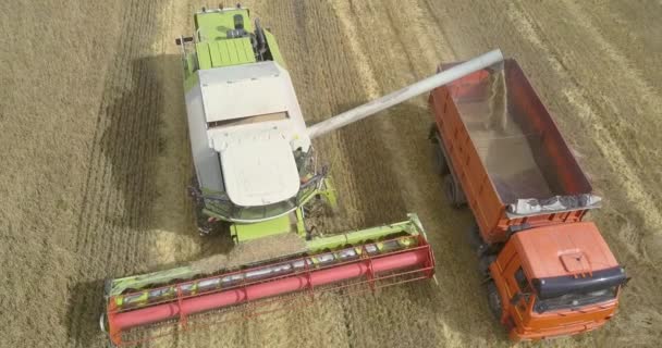 Movimiento aéreo alrededor del camión de llenado de trilladora con trigo — Vídeo de stock