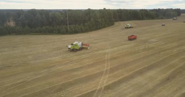 Vista superior camión unidad pasado combina en el campo de trigo — Vídeo de stock