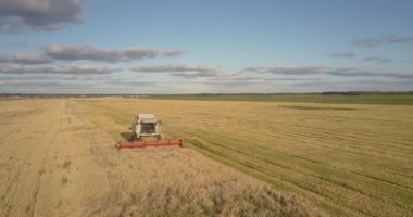 kuş bakışı thresher hasat gökyüzüne karşı olgun tahıl