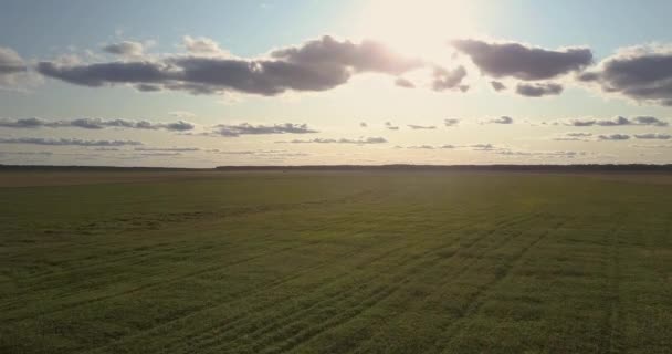 Bartperspektive Grüne Wiesen gegen bewölkten Abendhimmel — Stockvideo