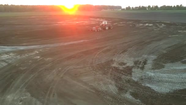 Röd traktor odlar stor fält jord vid solnedgången övre vy — Stockvideo