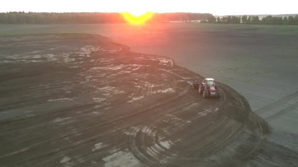 Traktor ekék széles területen naplementekor nyáron légi nézet — Stock videók