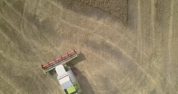 Cosechadora vista superior con accionamientos de plataforma de grano en campo — Vídeos de Stock