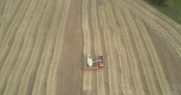 Vrchní výhled do kompleru pro plnění pšenice — Stock video
