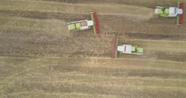 tahıl platformları ile üst görünüm hasat alanında çalışmak