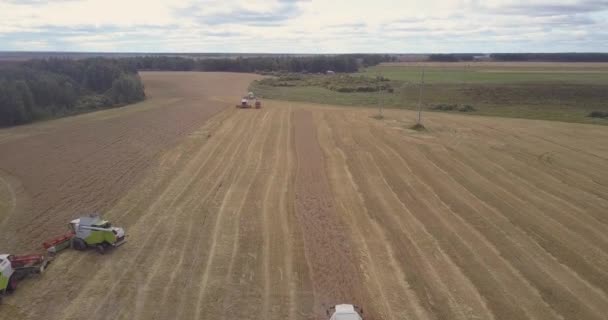 Luftbewegung über Weizenfeld mit Mähdreschern — Stockvideo